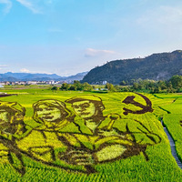 ���º�һ������������