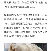 ̫�굽���Ǹ�ʲô�������