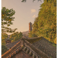 ����ٺ�