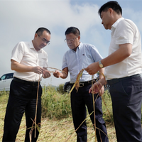 ���������Ե�������ɫͨ��ů���ġ�̨�ݡ��̻���̨��ũ�������ʵ