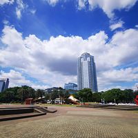 ����������㳡