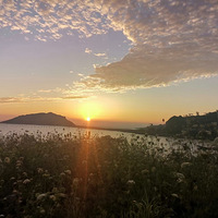 �ҿ����ƽ������������ճ���