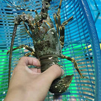 �������ġ�ʹ���ײ���һ��