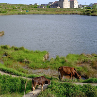 ����ɽ��