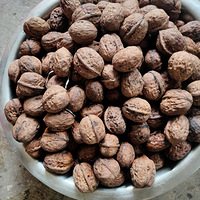 �������ġ����������������