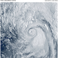 14��ǿ̨��Ӷ�������Ϣ�������ߵ��������ų���½�ҹ��Ŀ��ܣ�