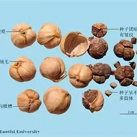 ���ҵ��������һ������ڣ����㽭Ů�ӱ���