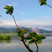 [������]�������е�С��