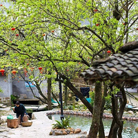 �����ˣ������������ﾰ�����������ŵ���������Һܽ���