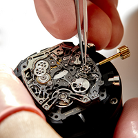 Ĵ RICHARD MILLE׶зܼ