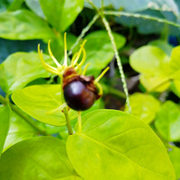 [������]���򻨽����