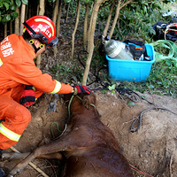 Сţ������������ɾ�����Ⱥ�ں�����ȣ�