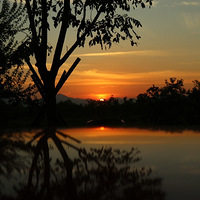 �˼���ɫ���ջ�