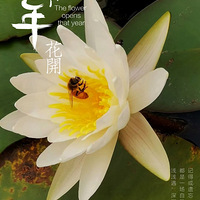 ��ȡ����������֪��Ⱦ��