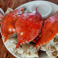 �������ġ�ż���Զٺõģ������Ͼ�������