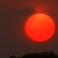 ������������������������������ϼ