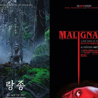 ��˫ͫ�����ǻ���ֲ�Ƭ���۷�