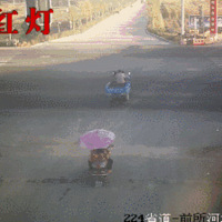 41304������ȫ�ǲ��ز鼩��