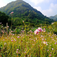 [������]ޤ������