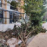 ��̩һƷһλҵ���ƻ��̻�����ҵ����Ϊ��