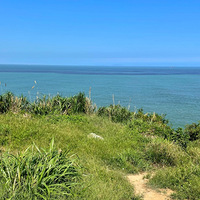 ����Ľ���ƽ��׹���