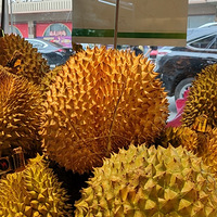 �������ġ������ù����˺ü��ң�Խ��Խ��