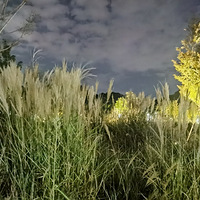 ������Ȼ��԰