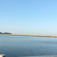 ���Խ��Խ����Ҳ��һ��ֻ������