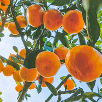 ��������ȥ�����պ����̨�ݡ����ٵ�ͼ��