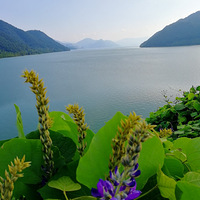 [������]��̶���ߵ�ˮɼ��