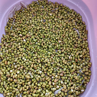 �������ġ��Լ����̶�ѿ���ó�Ŷ��