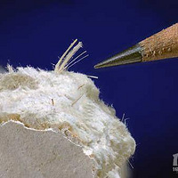 ũ���洦�ɼ���ʯ���ߣ�Σ���ж����أ�ר�ң�ʯ����һ���°���