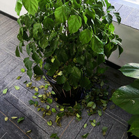 �������ġ��������칫����ö໨�ݶ�����