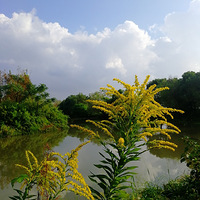 [������]���ػƻ�