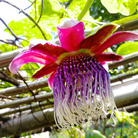 [������]������������