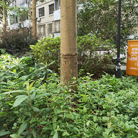 ����·���°�С�����̻�������Ϊ����������