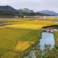 ��������˵����