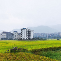 ����ջ���̨��ɽ����