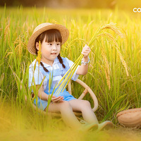 ���յļ���