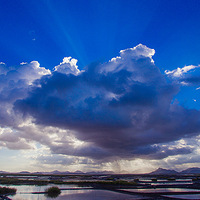 ȥ�����⣬�������ƾ�����