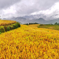 ��̨��ɽ�̽�����