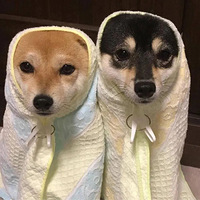 �������Х�������㽭������������½���10��