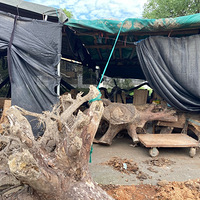 �������ġ�������Ȼ��������ô��