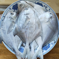 ������·�����Ĳ��г�����