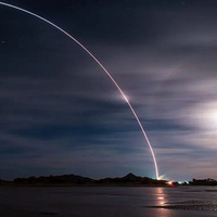 ��Ҫ����ֻ������