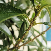 �õȣ����ҹ����ڿ��ˣ���Щ�ط����͹�