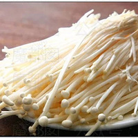 ����С������Ů�����������������͵Ľ��빽����Ļ��������