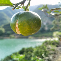 ���������-����