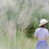 �׷�Ϫ��«έ��������,�·��߽��˻���