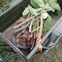 ��ʱ��ζ��